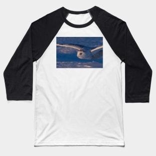 Snowy Owl flys at Sunset Baseball T-Shirt